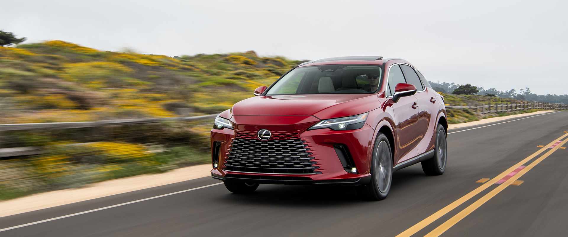 lexus-official-rxpremhover-lexus-350h-gallery-ext-02-d